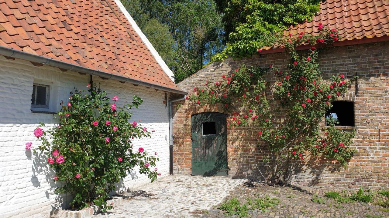Hoeve Spyckergoed * Le Coq